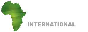 African Education International